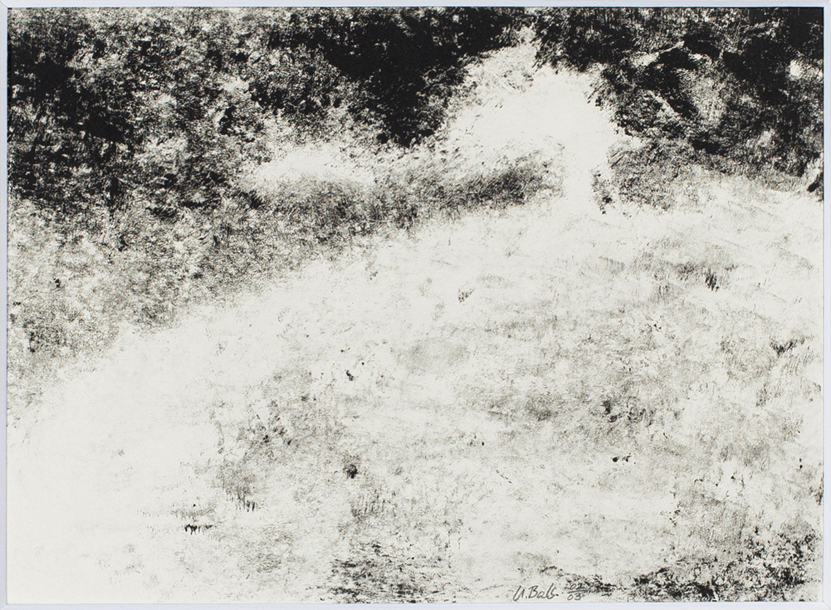Sonnenfackel / Ulrike Bals