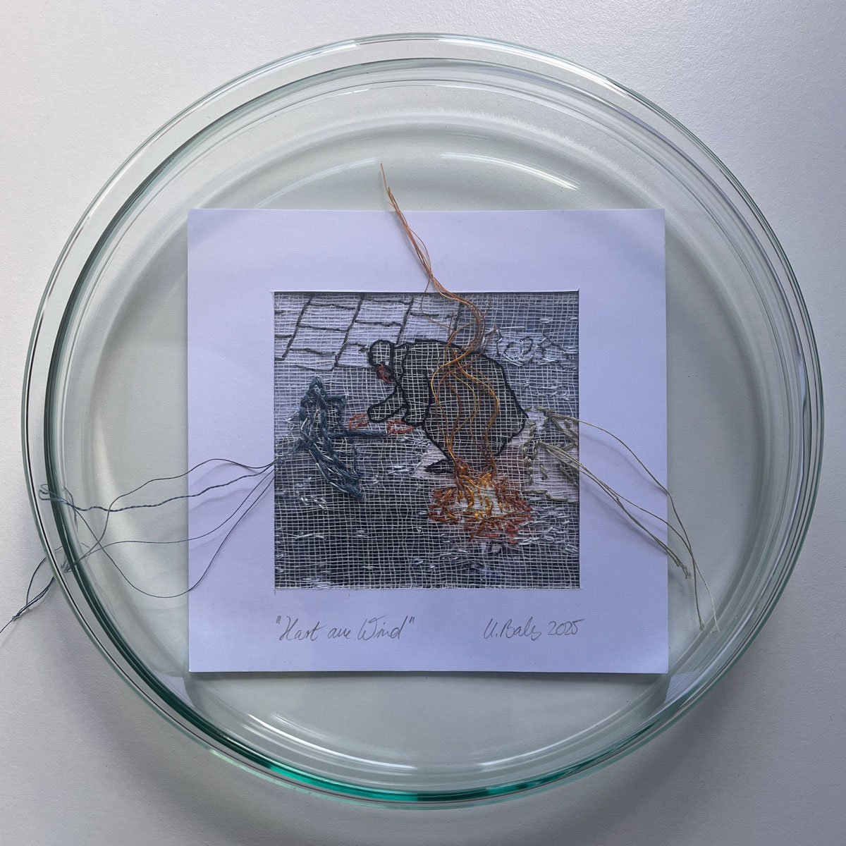 Hart am Wind / Ulrike Bals