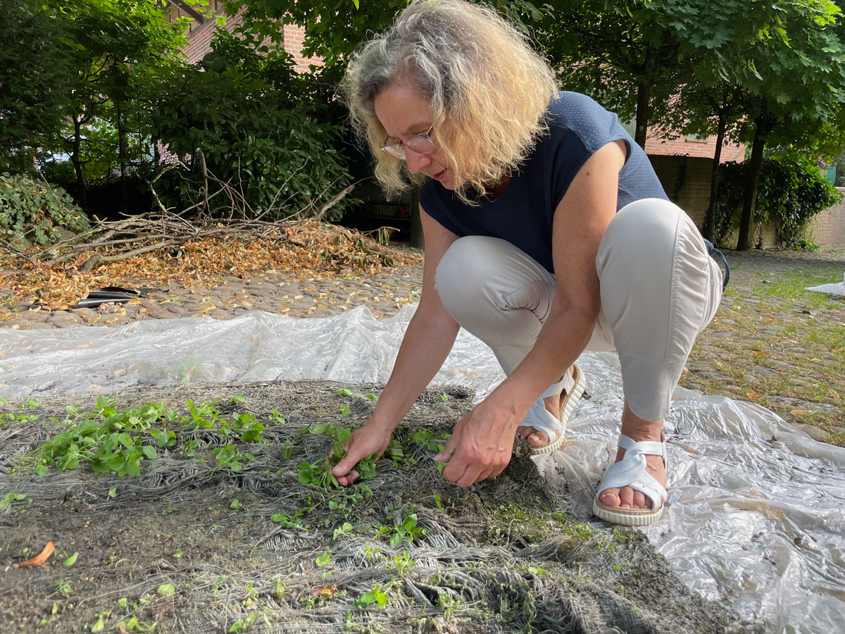 Ende und Anfang – Reinigung Teppich / Ulrike Bals